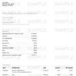 Chime bank statement example